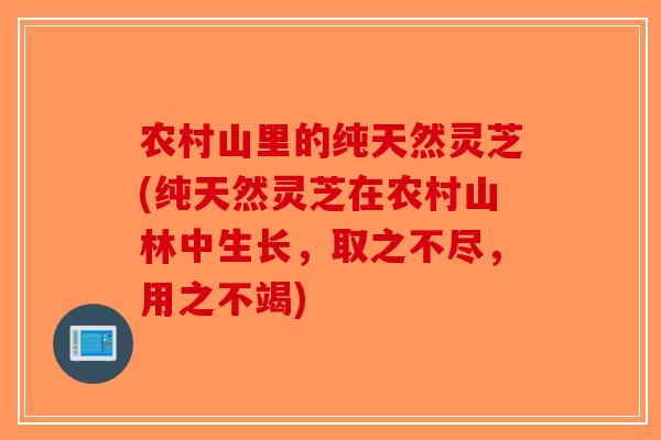 农村山里的纯天然灵芝(纯天然灵芝在农村山林中生长，取之不尽，用之不竭)