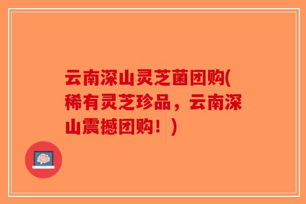 云南深山灵芝菌团购(稀有灵芝珍品,云南深山震撼团购!) 云南深山灵芝菌团购(稀有灵芝珍品,云南深山震撼团购!)