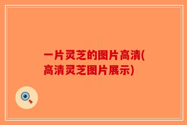 一片灵芝的图片高清(高清灵芝图片展示)