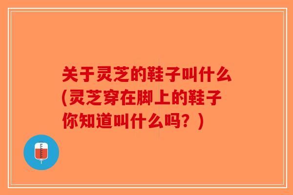 关于灵芝的鞋子叫什么(灵芝穿在脚上的鞋子你知道叫什么吗？)