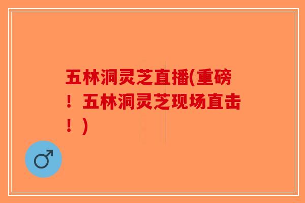 五林洞灵芝直播(重磅！五林洞灵芝现场直击！)