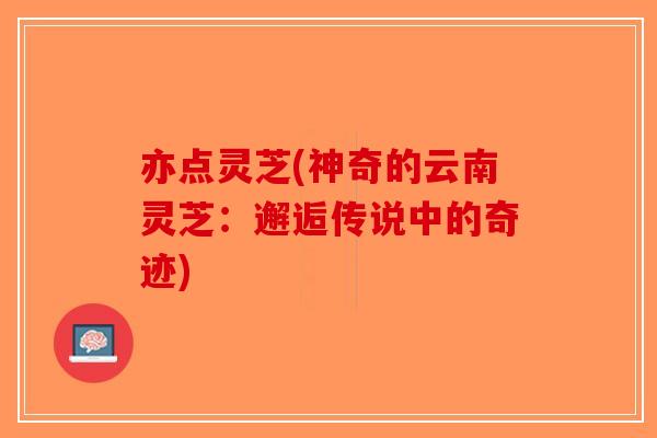 亦点灵芝(神奇的云南灵芝：邂逅传说中的奇迹)