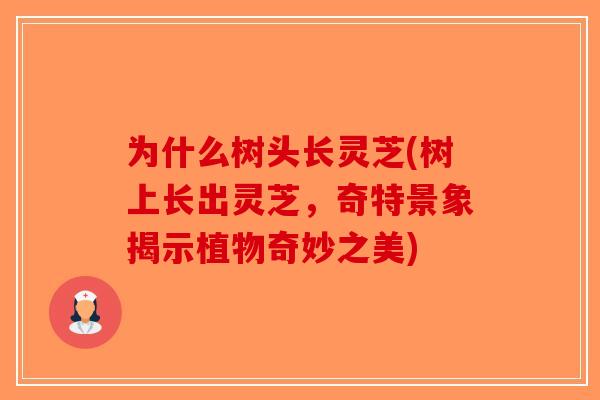 为什么树头长灵芝(树上长出灵芝,奇特景象揭示植物奇妙之美) 为什么树头长灵芝(树上长出灵芝,奇特景象揭示植物奇妙之美)