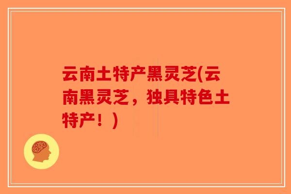 云南土特产黑灵芝(云南黑灵芝,独具特色土特产!) 云南土特产黑灵芝(云南黑灵芝,独具特色土特产!)
