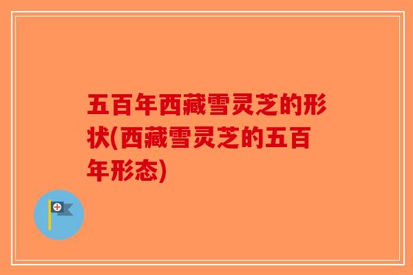 五百年西藏雪灵芝的形状(西藏雪灵芝的五百年形态)