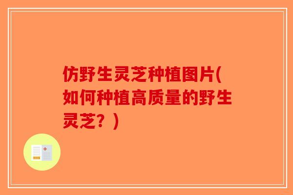 仿野生灵芝种植图片(如何种植高质量的野生灵芝？)