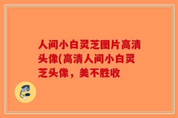 人间小白灵芝图片高清头像(高清人间小白灵芝头像，美不胜收