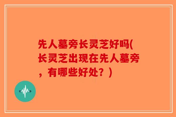 先人墓旁长灵芝好吗(长灵芝出现在先人墓旁，有哪些好处？)