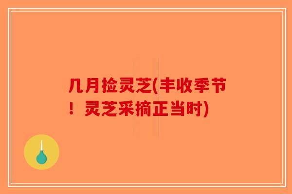 几月捡灵芝(丰收季节！灵芝采摘正当时)