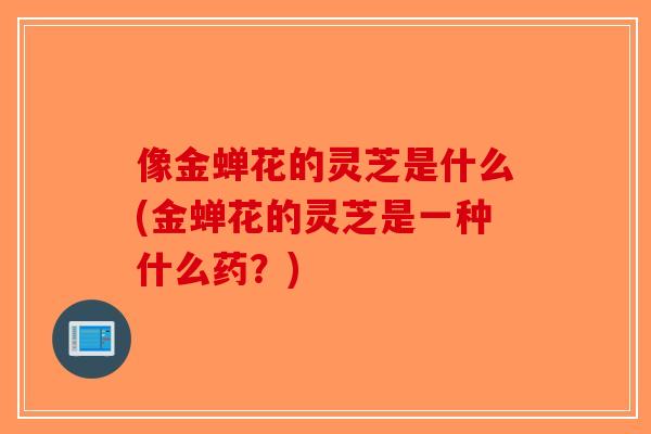 像金蝉花的灵芝是什么(金蝉花的灵芝是一种什么药？)
