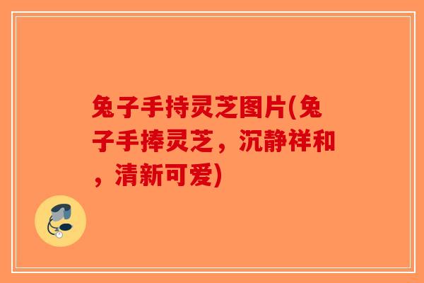 兔子手持灵芝图片(兔子手捧灵芝，沉静祥和，清新可爱)