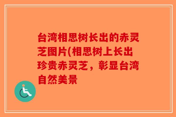 台湾相思树长出的赤灵芝图片(相思树上长出珍贵赤灵芝，彰显台湾自然美景