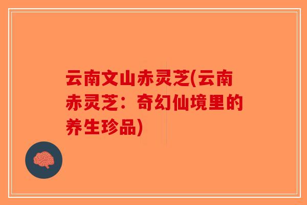 云南文山赤灵芝(云南赤灵芝：奇幻仙境里的养生珍品)