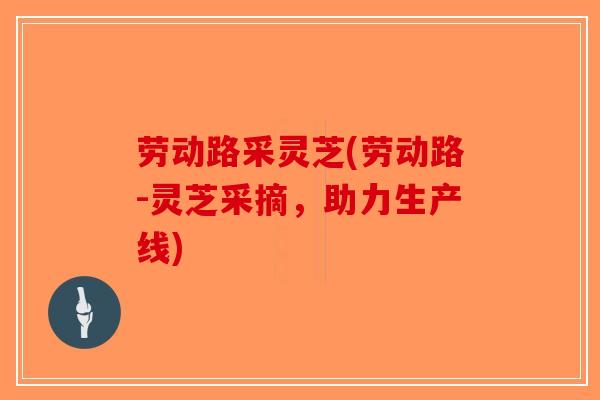 劳动路采灵芝(劳动路-灵芝采摘，助力生产线)