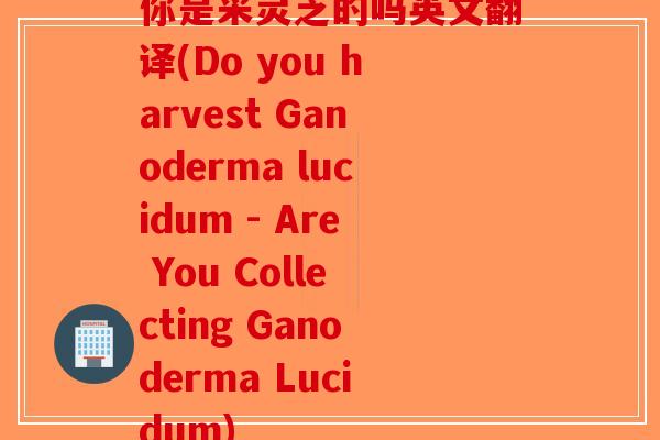 你是采灵芝的吗英文翻译(Do you harvest Ganoderma lucidum - Are You Collecting Ganoderma Lucidum)