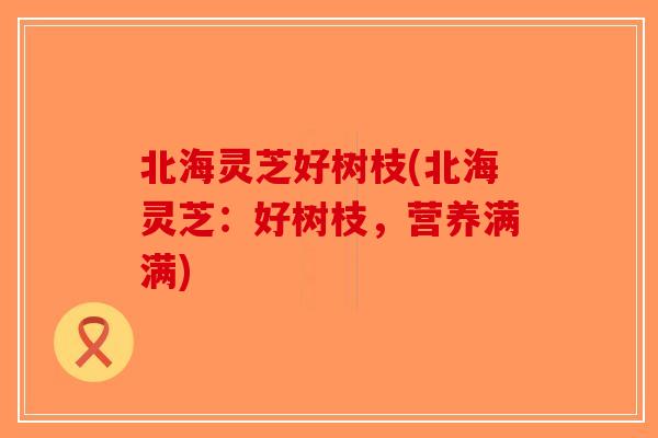 北海灵芝好树枝(北海灵芝：好树枝，营养满满)