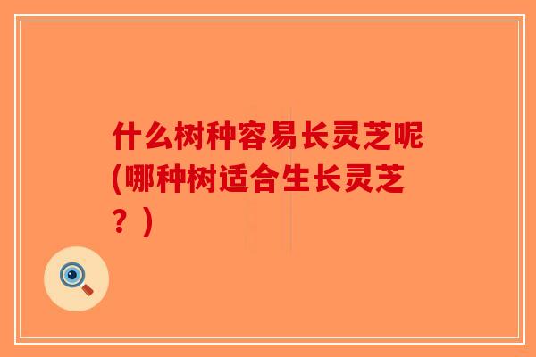 什么树种容易长灵芝呢(哪种树适合生长灵芝？)