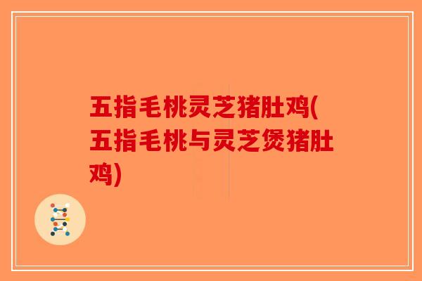 五指毛桃灵芝猪肚鸡(五指毛桃与灵芝煲猪肚鸡)