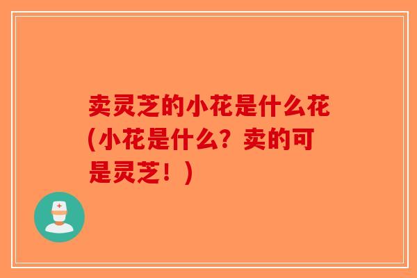 卖灵芝的小花是什么花(小花是什么？卖的可是灵芝！)