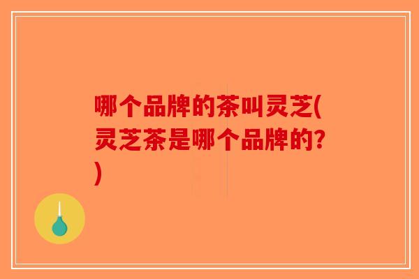 哪个品牌的茶叫灵芝(灵芝茶是哪个品牌的？)