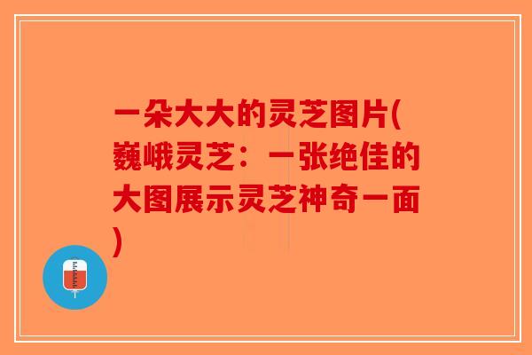 一朵大大的灵芝图片(巍峨灵芝：一张绝佳的大图展示灵芝神奇一面)