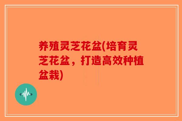 养殖灵芝花盆(培育灵芝花盆，打造高效种植盆栽)
