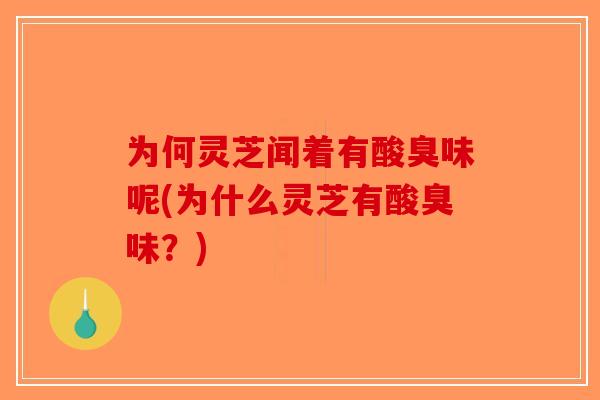 为何灵芝闻着有酸臭味呢(为什么灵芝有酸臭味？)