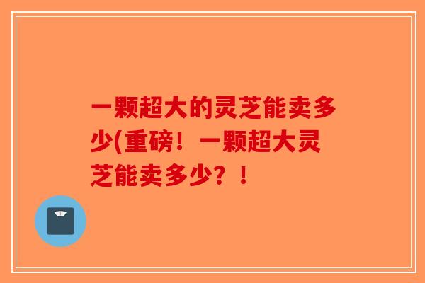 一颗超大的灵芝能卖多少(重磅！一颗超大灵芝能卖多少？！