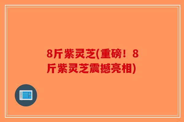 8斤紫灵芝(重磅！8斤紫灵芝震撼亮相)
