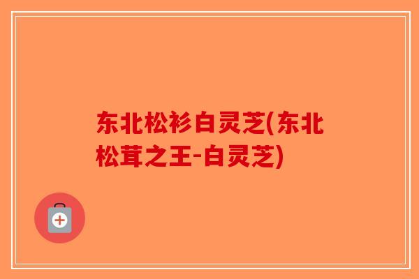 东北松衫白灵芝(东北松茸之王-白灵芝)