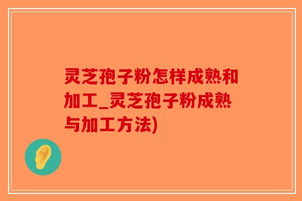 灵芝孢子粉怎样成熟和加工_灵芝孢子粉成熟与加工方法)