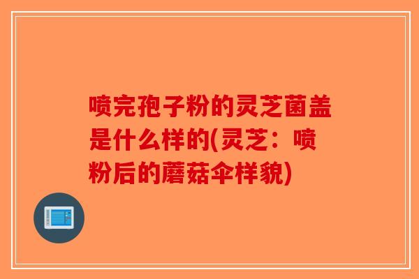 喷完孢子粉的灵芝菌盖是什么样的(灵芝：喷粉后的蘑菇伞样貌)