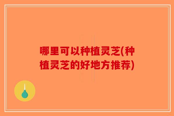 哪里可以种植灵芝(种植灵芝的好地方推荐)