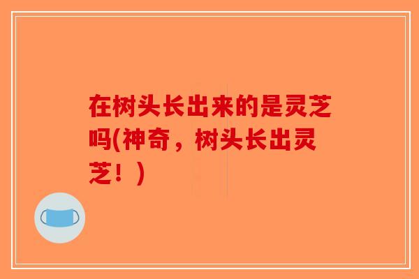 在树头长出来的是灵芝吗(神奇，树头长出灵芝！)