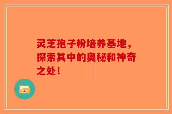 灵芝孢子粉培养基地，探索其中的奥秘和神奇之处！