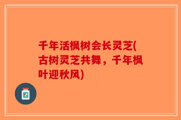 千年活枫树会长灵芝(古树灵芝共舞，千年枫叶迎秋风)