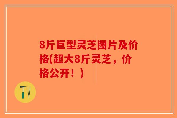 8斤巨型灵芝图片及价格(超大8斤灵芝，价格公开！)