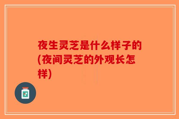 夜生灵芝是什么样子的(夜间灵芝的外观长怎样)