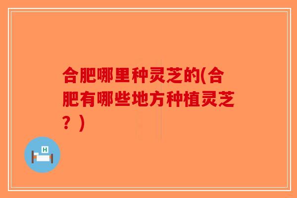 合肥哪里种灵芝的(合肥有哪些地方种植灵芝？)