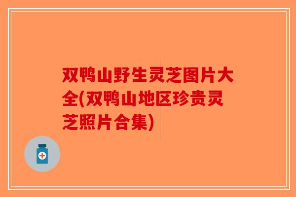 双鸭山野生灵芝图片大全(双鸭山地区珍贵灵芝照片合集)