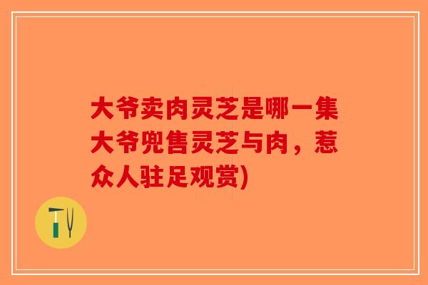 大爷卖肉灵芝是哪一集大爷兜售灵芝与肉，惹众人驻足观赏)