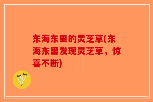 东海东里的灵芝草(东海东里发现灵芝草，惊喜不断)