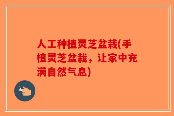 人工种植灵芝盆栽(手植灵芝盆栽，让家中充满自然气息)