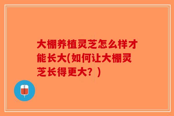 大棚养植灵芝怎么样才能长大(如何让大棚灵芝长得更大？)
