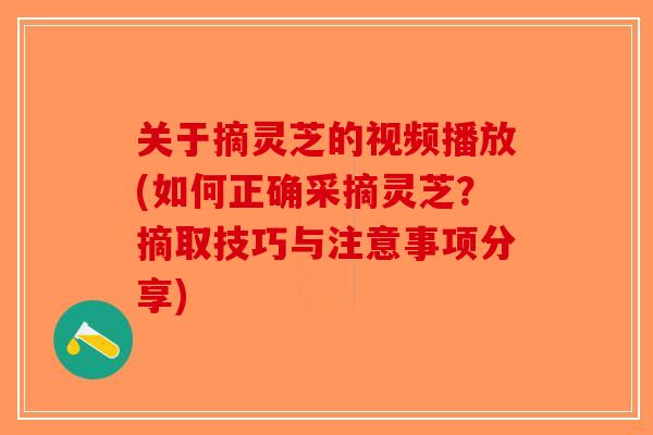 关于摘灵芝的视频播放(如何正确采摘灵芝？摘取技巧与注意事项分享)