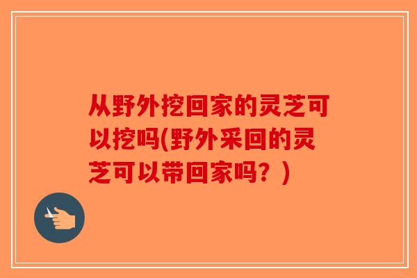 从野外挖回家的灵芝可以挖吗(野外采回的灵芝可以带回家吗？)