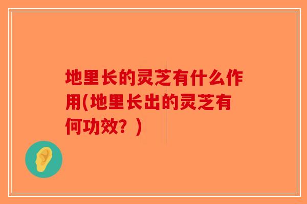 地里长的灵芝有什么作用(地里长出的灵芝有何功效?) 地里长的灵芝有什么作用(地里长出的灵芝有何功效?)