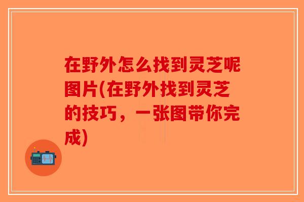 在野外怎么找到灵芝呢图片(在野外找到灵芝的技巧，一张图带你完成)