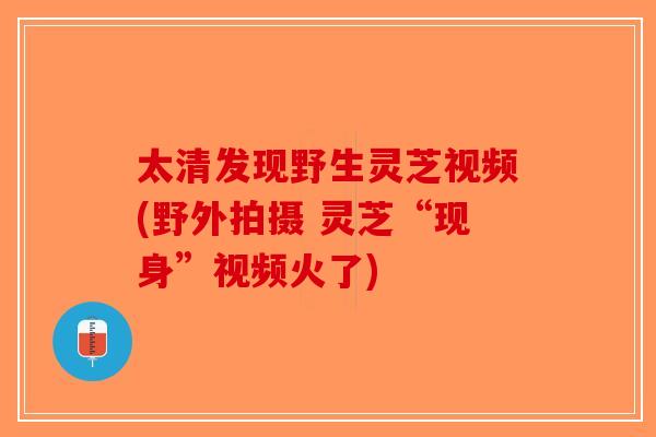 太清发现野生灵芝视频(野外拍摄 灵芝“现身”视频火了)