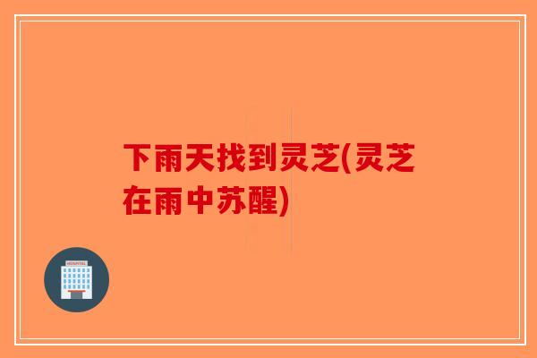 下雨天找到灵芝(灵芝在雨中苏醒)